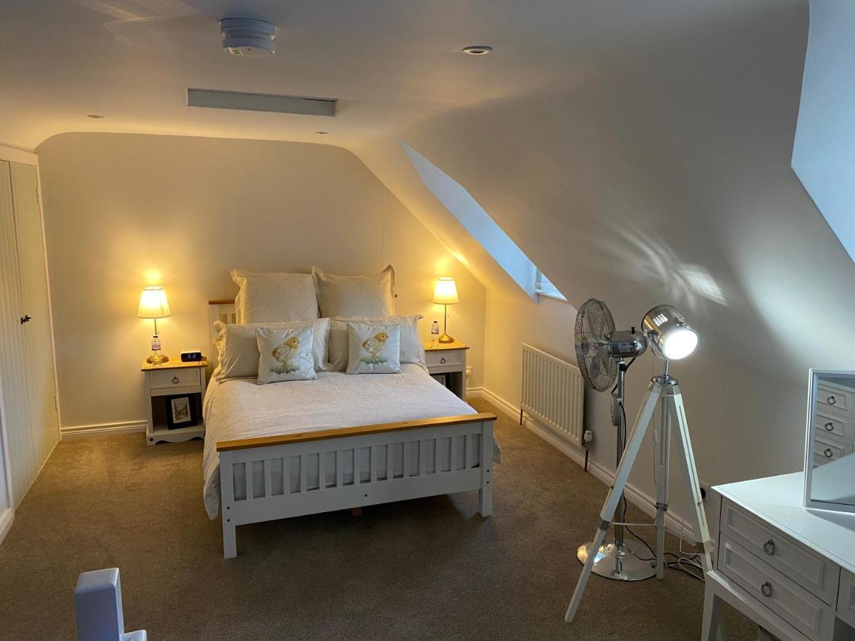 Arthur Street Guest Cottage Hillsborough Extérieur photo